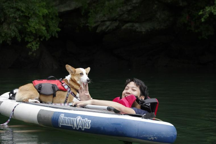 犬と遊べるSUP（サップ）